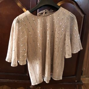 Beautiful sequenced blouse